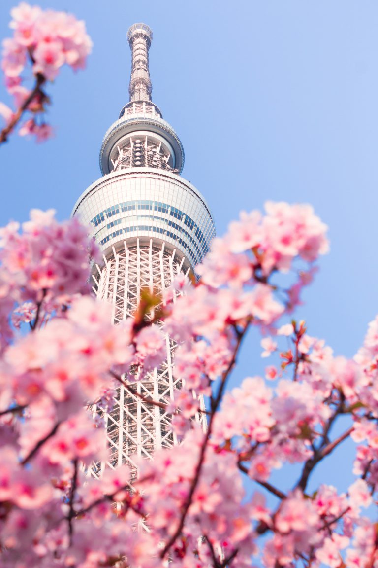 VDM Tokyo offers high-quality pocket Wi-Fi and travel SIM cards for foreign residents in Japan, ensuring reliable connectivity through strong partnerships with local telecommunication carriers.